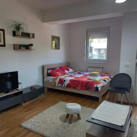 Apartment In Center